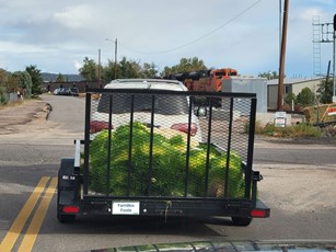 FarmBox Foods trailer loaded with fodder mats for delivery to the ranch.jpg